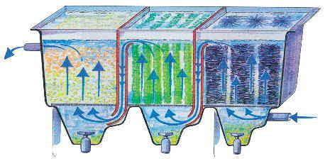 Teichfilter Schema